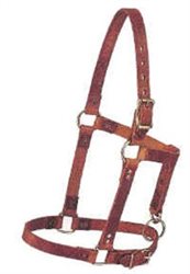 Horse Halter - Russet Leather 1 wide with brass hardware 621