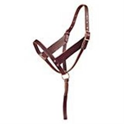Foal Halter - Russet Leather - criss cross throat w/solid brass hardware 5/8" 627