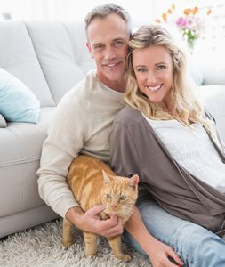treatment for cats and kittens with ringworm