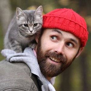 do cats show affection