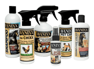 banixx spray remedy
