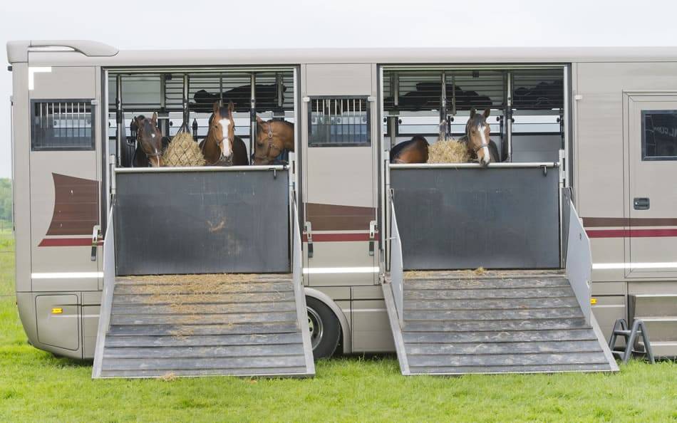 horse trailer