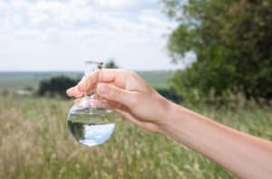 horse water testing