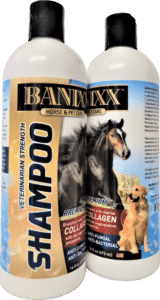 Banixx Shampoo