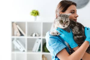 cat quarantine