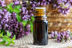 oregano essential oil