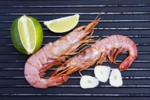 shrimp for dogs