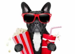 dogs eating popcorn
