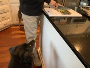 can dogs eat asparagus