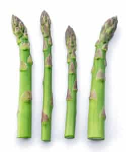 asparagus for dogs