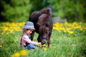 smallest horse