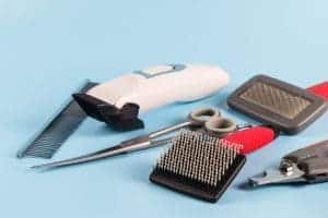 dog grooming tools