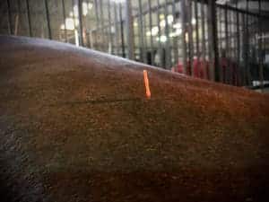 horse acupuncture needle