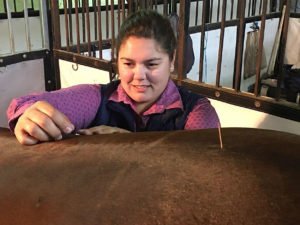 horse acupuncture needle inserted