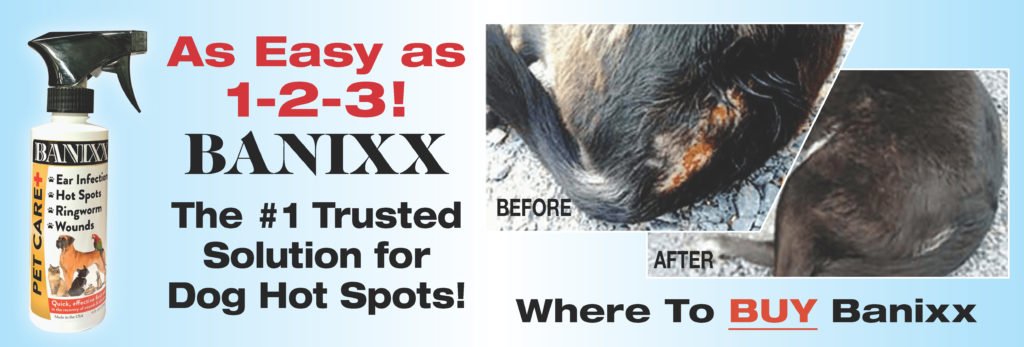dog hot spots treatment