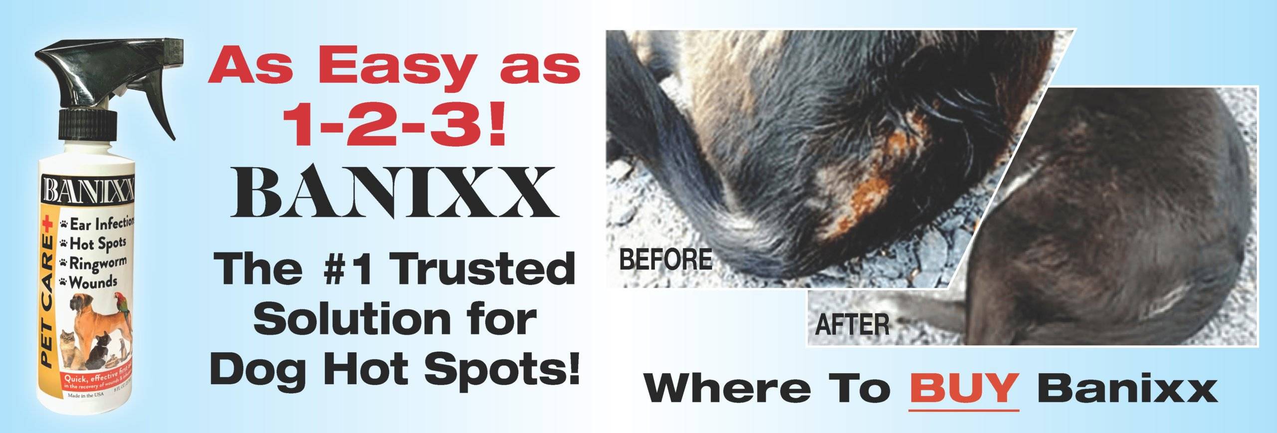 dog hot spots treatment