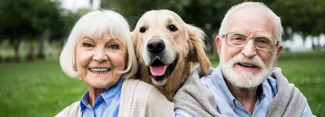 senior dog owners