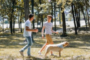 pet safe pesticide