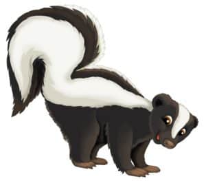 skunk smell on dog