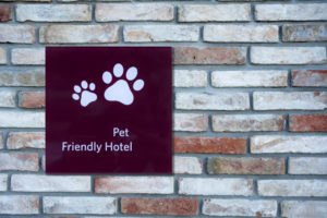 Pet friendly hotels