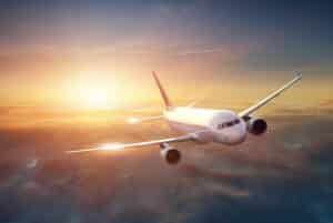 how to bring a cat on a plane