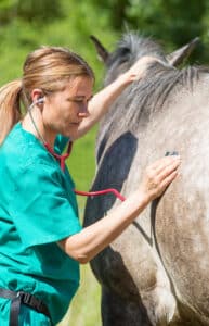 large animal vet near me