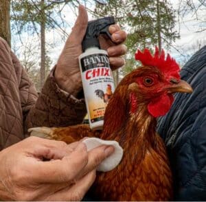 banixx for chickens