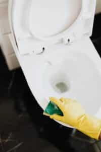 dog drinking toilet water