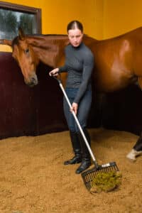 horse barn cleaning tips