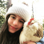 chicken