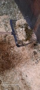 raking horse poop