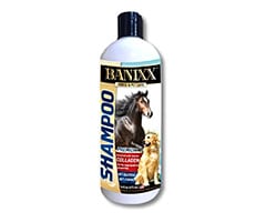 banixx spray shampoo