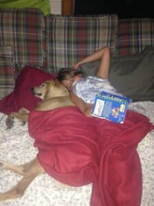 dog sleeping position