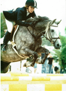 dapple horse