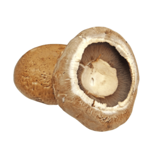 are mushrooms bad for cats