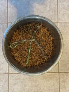 can dogs eat rosemary