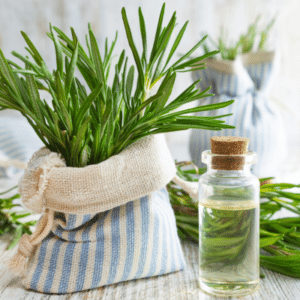 can dogs eat rosemary extract