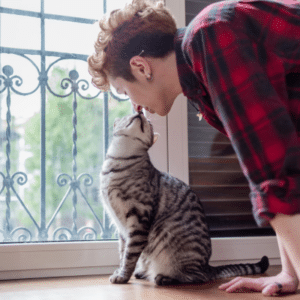staring at a cat