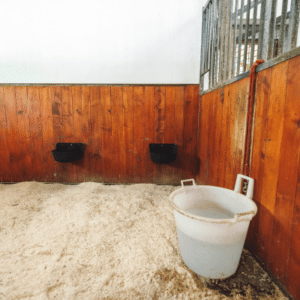 how much water does a horse drink in a day