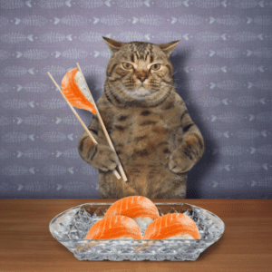 can cats eat cooked salmon