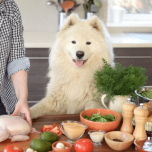 how to cook chicken for your dog
