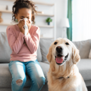 can dogs get the flu