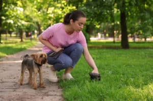 is giardia contagious in dogs