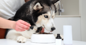 dog joint supplements