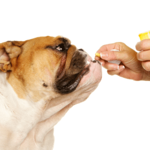 best dog joint supplement