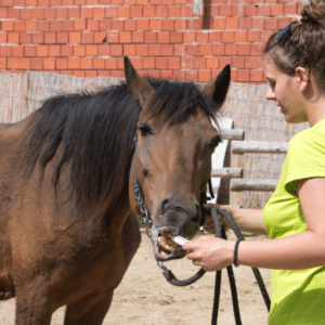 epm in horses treatment