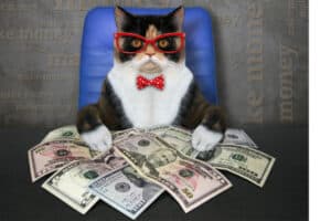 cat with money