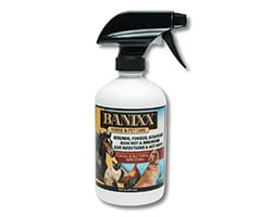 banixx