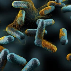 botulism