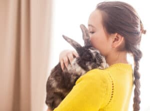 pet insurance reviews